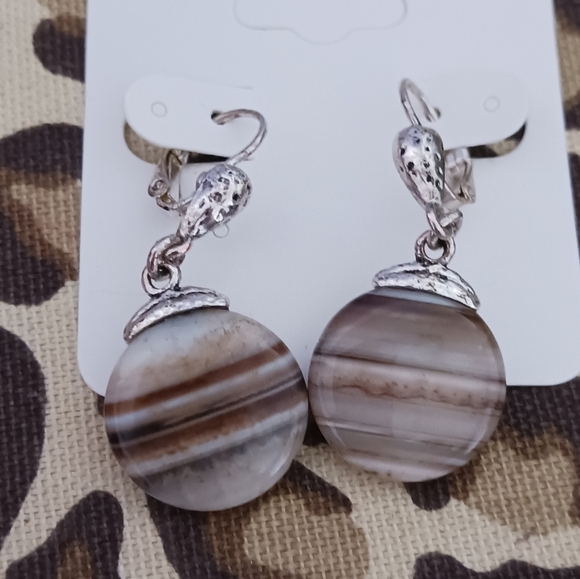 Silver Tone Leverback Brown Striped Stone Earrings - Picture 2 of 13
